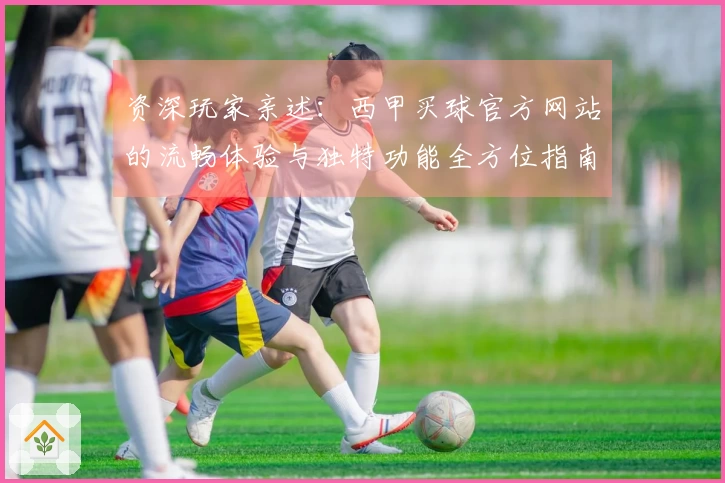 资深玩家亲述：西甲买球官方网站的流畅体验与独特功能全方位指南