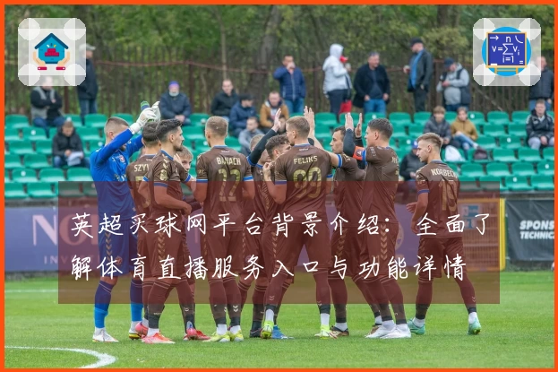 英超买球网平台背景介绍：全面了解体育直播服务入口与功能详情