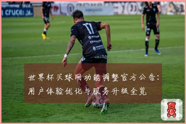 世界杯买球网功能调整官方公告：用户体验优化与服务升级全览